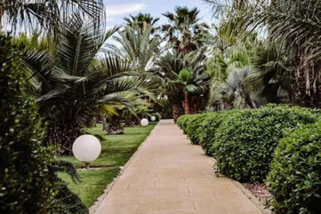 Plaza San Antonio Hotel Quinceanera